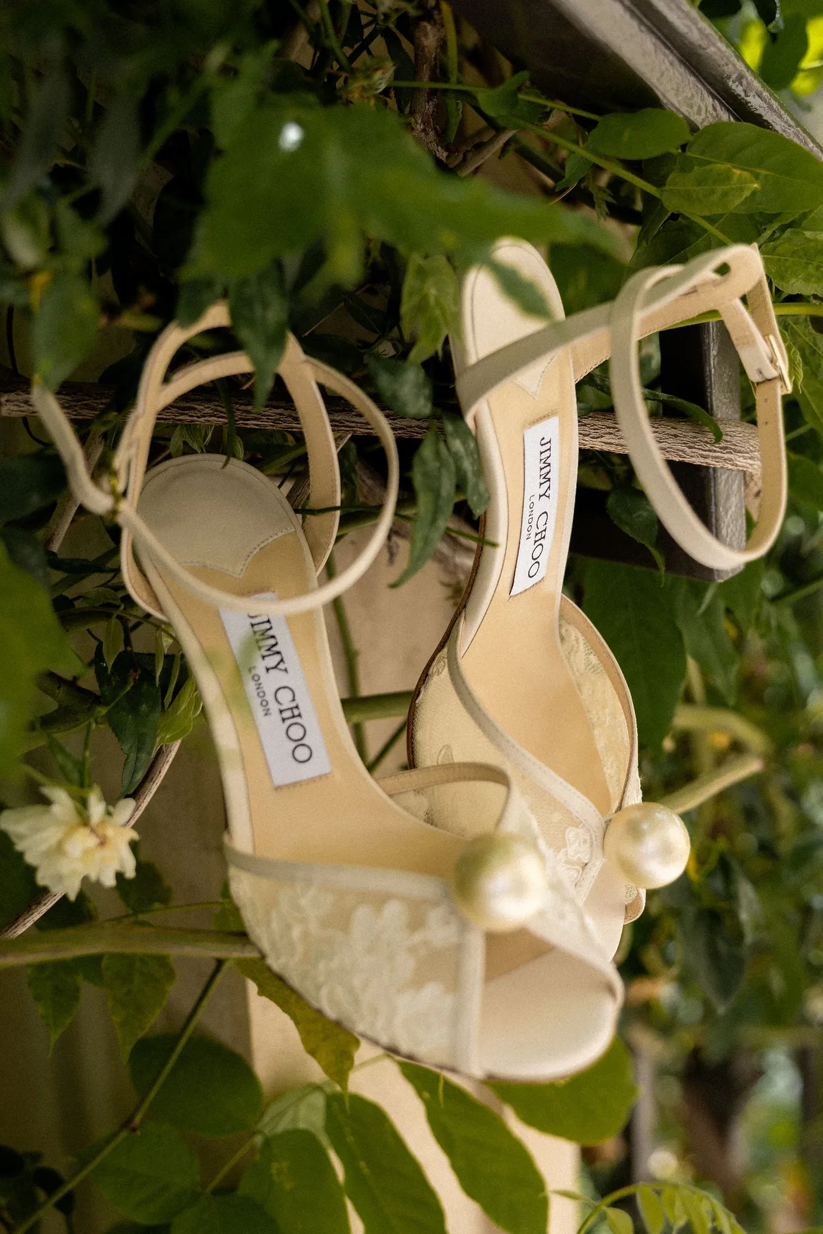 A pair of heeled sandals hung from a rope among leaves