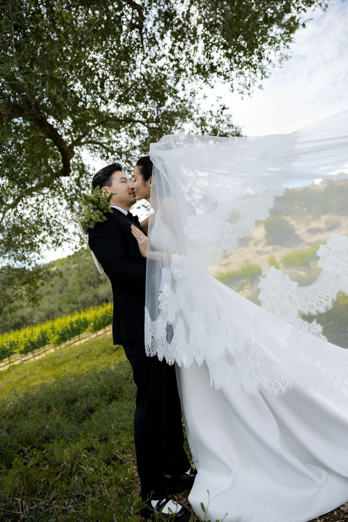 The couple under an oak, the bride's lace veil lifting in the wind over the vines