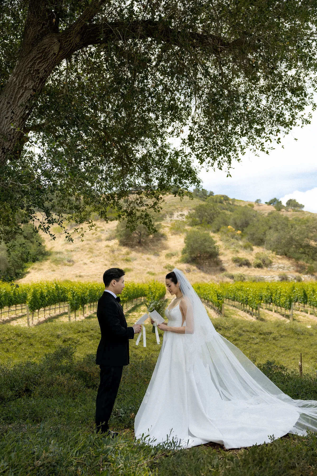 The couple facing each other under an oak, reading vows, vines on the hill