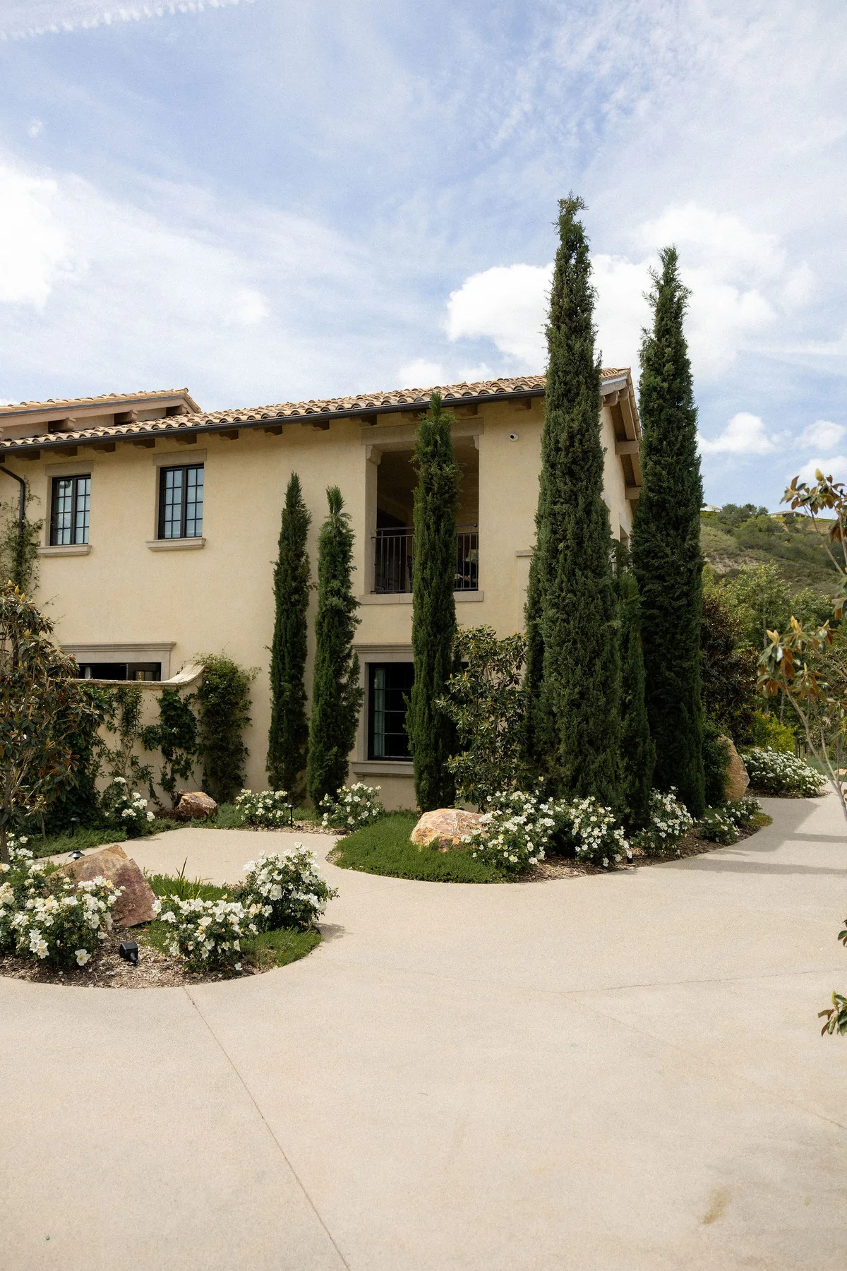 The winery courtyard: a tiled house, cypresses and white roses, no one in the frame